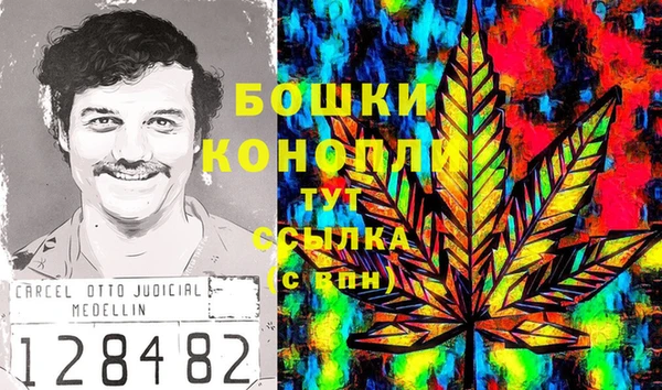 2c-b Новозыбков