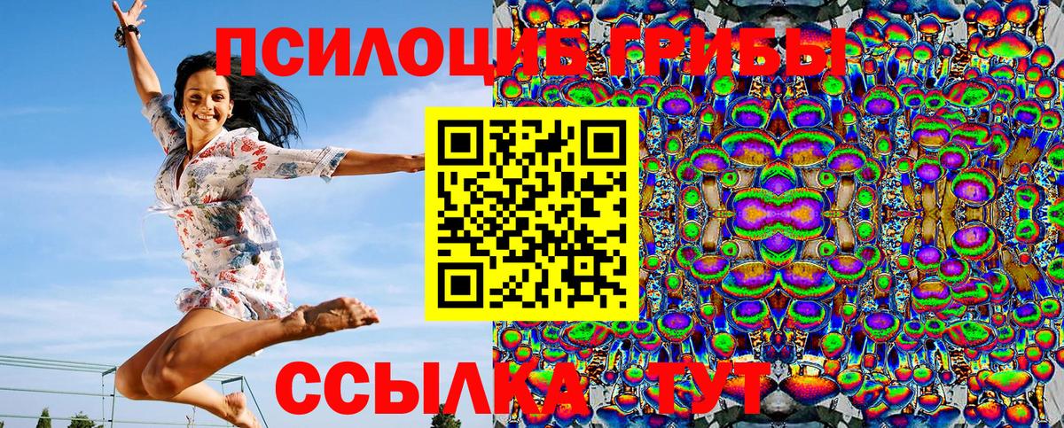 Псилоцибиновые грибы мицелий  Вход с VPN  Псилоцибиновые грибы GOLDEN TEACHER  Михайловск 