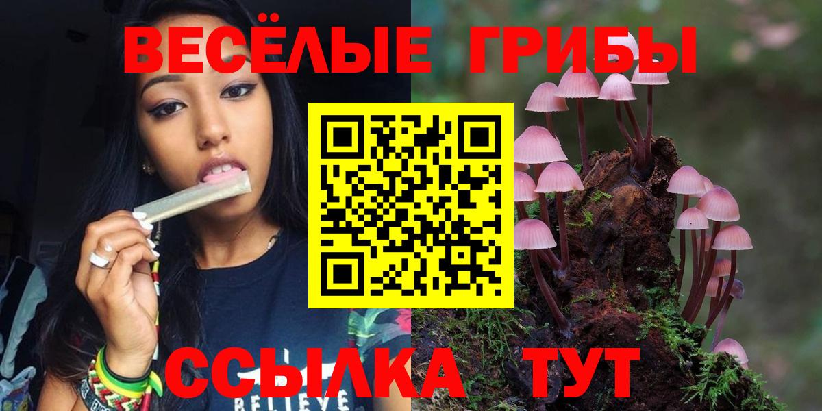 Галлюциногенные грибы Psilocybine cubensis Михайловск
