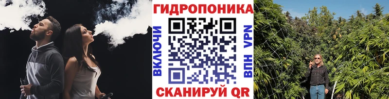 Каннабис семена  сколько стоит  Михайловск 